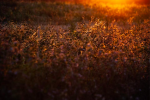 Summer Sunset Sardegna Sardinia Cerdena Sardinien, Giorgia Corti Ph, Photographer Paris