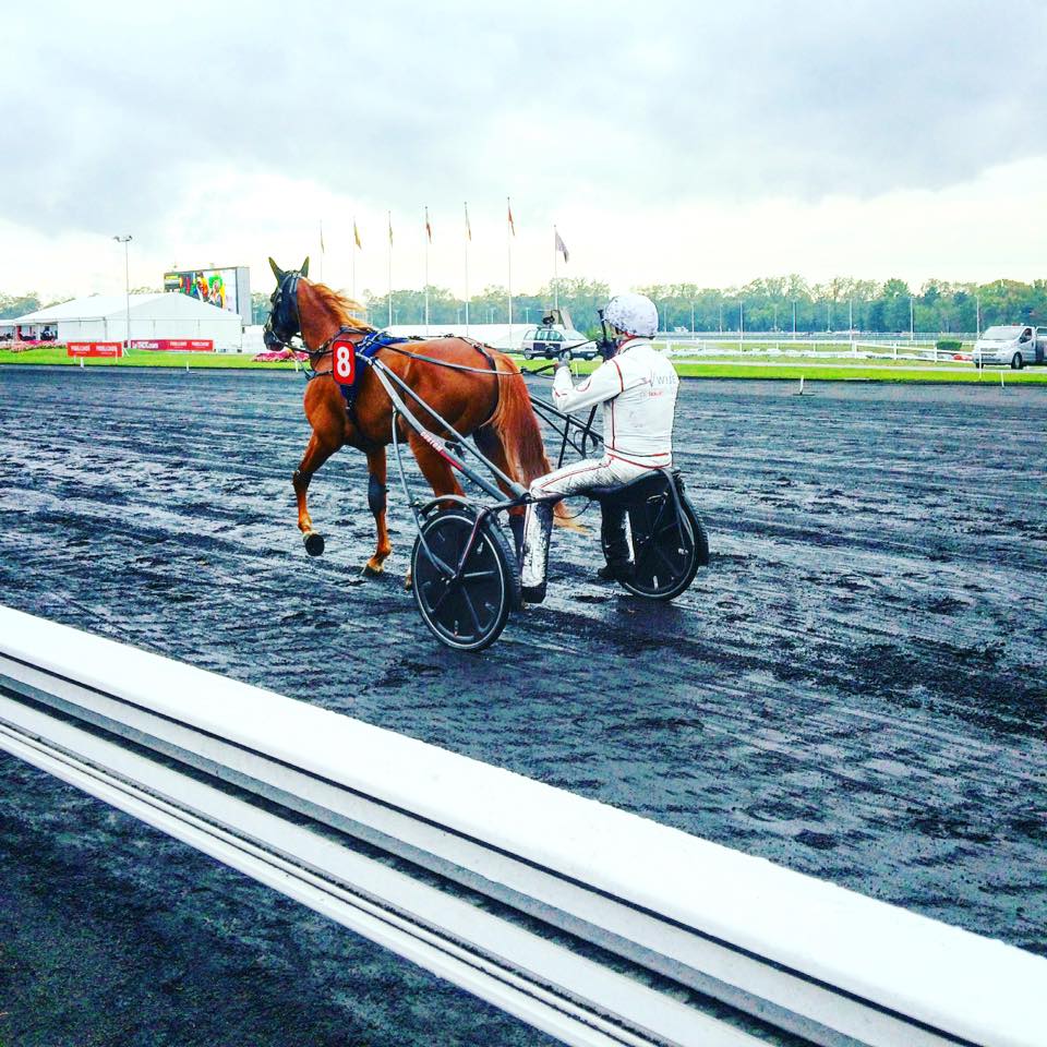 Vincennes hippodrome jokey sulky driver turf jockeyclub trot course